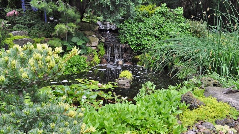 Lush Pond Garden: Kuster Garden på Madison Fling